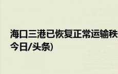 海口三港已恢复正常运输秩序 离岛车辆排队时间大幅缩短(今日/头条)