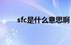 sfc是什么意思啊（sfc是什么意思）