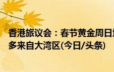 香港旅议会：春节黄金周日均240内地团来港 “一日游”团多来自大湾区(今日/头条)