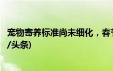 宠物寄养标准尚未细化，春节寄养一只猫竟要上万元？(今日/头条)