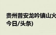 贵州普安龙吟镇山火两名扑救人员不幸牺牲(今日/头条)