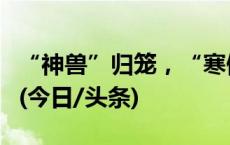 “神兽”归笼，“寒假作业赶工”名场面再现(今日/头条)