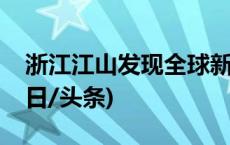 浙江江山发现全球新物种“中华炭褶菌”(今日/头条)