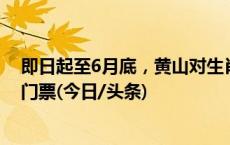 即日起至6月底，黄山对生肖为龙和姓名含“龙”字游客免门票(今日/头条)