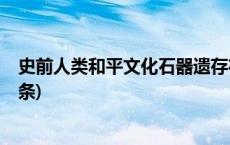 史前人类和平文化石器遗存在澜沧江流域广泛分布(今日/头条)