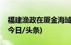 福建渔政在厦金海域开展渔业巡航执法行动(今日/头条)