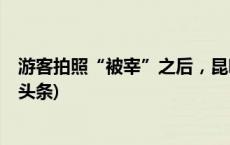 游客拍照“被宰”之后，昆明海埂大坝商户全部关停(今日/头条)