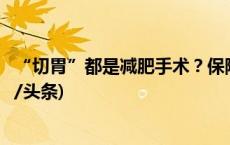 “切胃”都是减肥手术？保险公司拒赔手术费被判败诉(今日/头条)