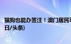 猫狗也能办签注！澳门居民可携带指定宠物便利往返琴澳(今日/头条)