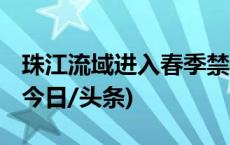 珠江流域进入春季禁渔期 启动联合执法行动(今日/头条)