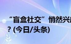 “盲盒社交”悄然兴起，它哪点吸引了年轻人？(今日/头条)