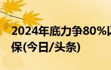 2024年底力争80%以上新生儿在出生当年参保(今日/头条)