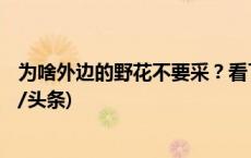 为啥外边的野花不要采？看了《咬春指南》就明白了~(今日/头条)