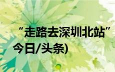 “走路去深圳北站”的男子被抓！警方通报(今日/头条)