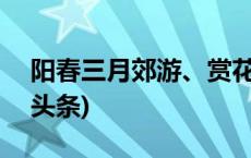 阳春三月郊游、赏花 注意要“春捂”(今日/头条)