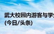 武大校园内游客与学生互殴？校方：正在处理(今日/头条)