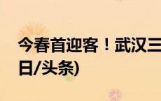 今春首迎客！武汉三大樱花景点即将上新(今日/头条)