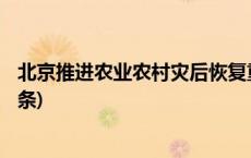 北京推进农业农村灾后恢复重建 完善巨灾保险制度(今日/头条)