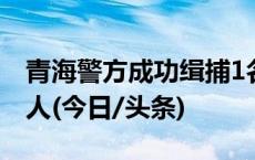 青海警方成功缉捕1名在逃境外经济犯罪嫌疑人(今日/头条)