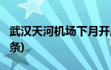 武汉天河机场下月开启双航站楼运行(今日/头条)