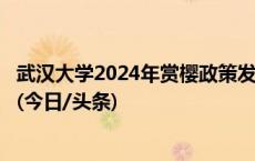 武汉大学2024年赏樱政策发布，预约时段3月20日至4月6日(今日/头条)