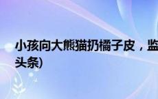 小孩向大熊猫扔橘子皮，监护人被罚5年内禁止参观(今日/头条)