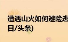 遭遇山火如何避险逃生？这些知识要掌握(今日/头条)