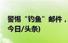 警惕“钓鱼”邮件，这份实用指南请查收！(今日/头条)