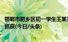 邯郸市肥乡区初一学生王某某被杀害 涉案犯罪嫌疑人被全部抓获(今日/头条)