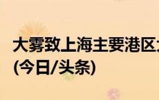 大雾致上海主要港区大量国际航船出入境受阻(今日/头条)