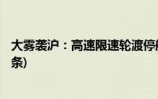 大雾袭沪：高速限速轮渡停航 数十艘国际航船受阻(今日/头条)