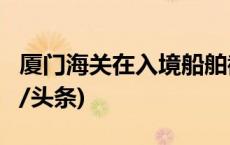 厦门海关在入境船舶截获2万余只活蟑螂(今日/头条)