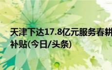 天津下达17.8亿元服务春耕春播 对种粮农民给予每亩95元补贴(今日/头条)