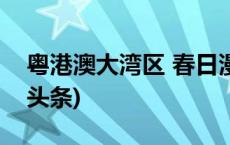 粤港澳大湾区 春日漫游Plus计划启动(今日/头条)