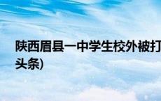 陕西眉县一中学生校外被打，3名殴打人员已被控制(今日/头条)