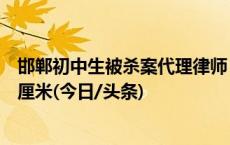 邯郸初中生被杀案代理律师：伤情非常严重，有伤口长七八厘米(今日/头条)