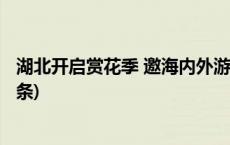 湖北开启赏花季 邀海内外游客“相约春天赏樱花”(今日/头条)