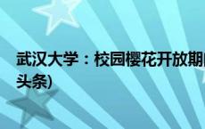 武汉大学：校园樱花开放期间严禁外来人员违规入校(今日/头条)