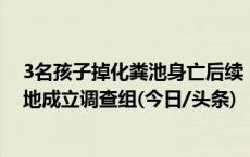 3名孩子掉化粪池身亡后续：涉事小区内窨井仅盖木板，当地成立调查组(今日/头条)