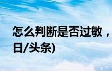 怎么判断是否过敏，如何用药？专家解答(今日/头条)