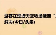 游客在理塘天空牧场遭遇“鹿茸托”？市场监管局：已私下解决(今日/头条)