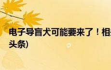 电子导盲犬可能要来了！相关研究在我国取得新突破(今日/头条)