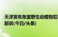 天津发布危害野生动植物犯罪典型案例，涉事人员均被审查起诉(今日/头条)