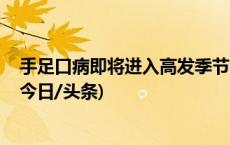 手足口病即将进入高发季节 这些健康知识家长一定要知道(今日/头条)