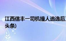 江西信丰一司机撞人逃逸后又连撞两人，已致2死3伤(今日/头条)