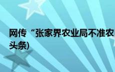 网传“张家界农业局不准农民自己炒茶”？当地通报(今日/头条)