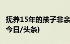 抚养15年的孩子非亲生 男子起诉生父获赔偿(今日/头条)