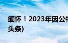 缅怀！2023年因公牺牲民警名单公布(今日/头条)