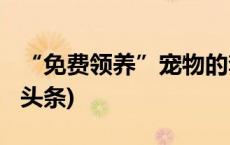 “免费领养”宠物的套路也太多了……(今日/头条)