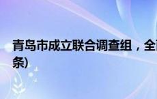 青岛市成立联合调查组，全面调查太平陵公墓问题(今日/头条)